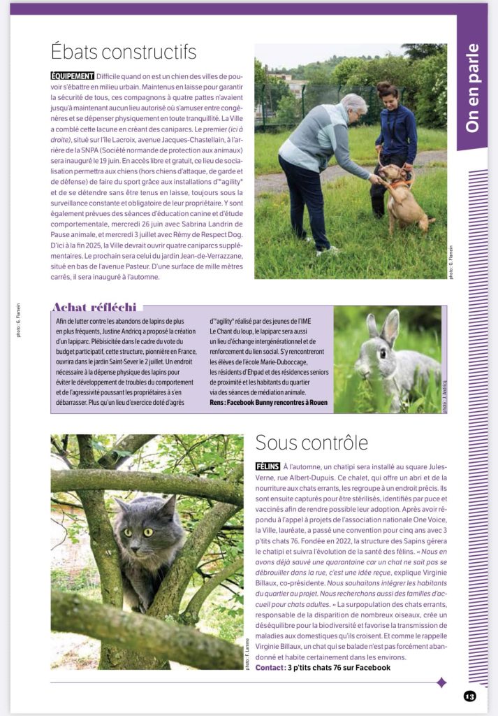 ville de Rouen éducation canine caniparc