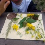 nature petite enfance Rouen