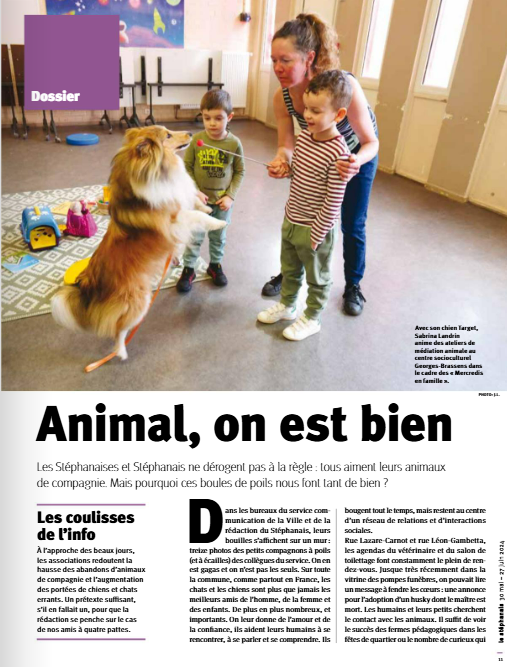 article ville Saint Etienne du Rouvray