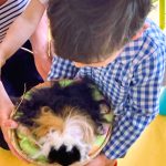 éveil sensoriel crèche