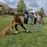 agility enfants chien Seine Maritime