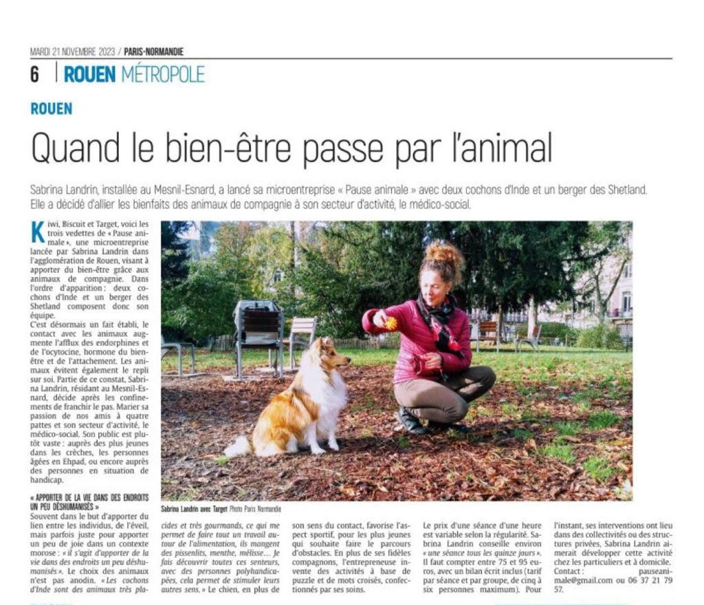 bien être lien animal